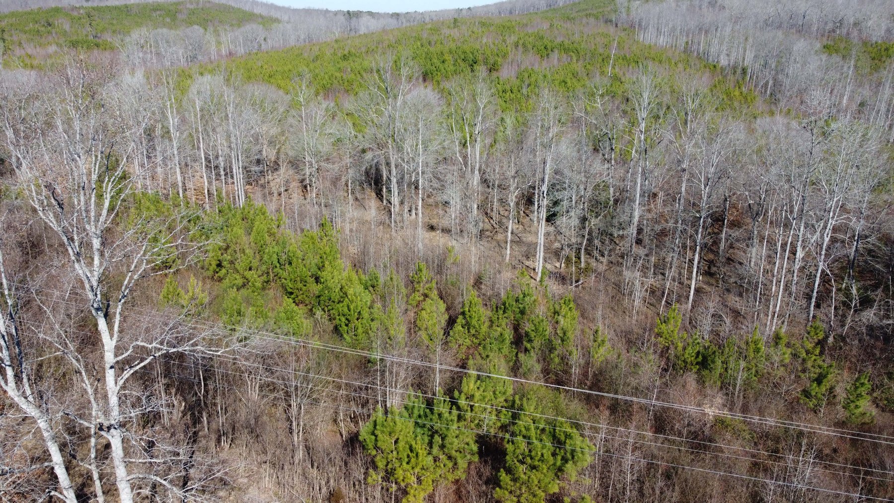 Image for 436 acres in Randolph County Divided into multiple tracts w/a portion selling absolute! This is an online / live / simulcast event!