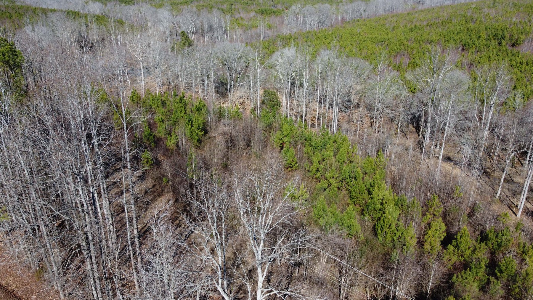 Image for 436 acres in Randolph County Divided into multiple tracts w/a portion selling absolute! This is an online / live / simulcast event!