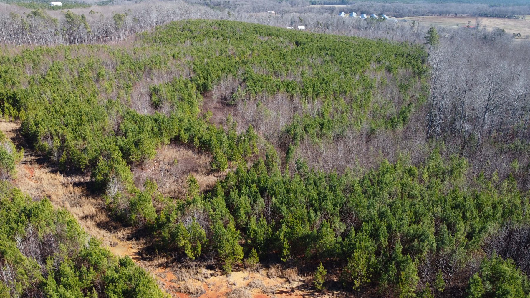 Image for 436 acres in Randolph County Divided into multiple tracts w/a portion selling absolute! This is an online / live / simulcast event!
