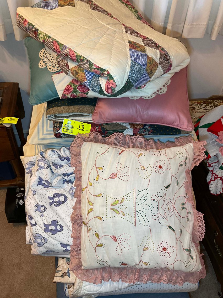 Image for Complete contents of a home in Erwin selling in an online absolute auction!