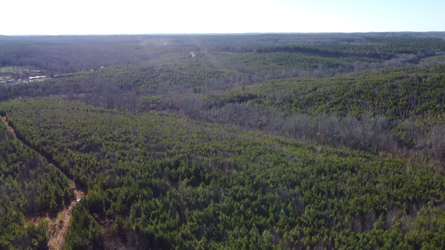 Image for 436 acres in Randolph County Divided into multiple tracts w/a portion selling absolute! This is an online / live / simulcast event!