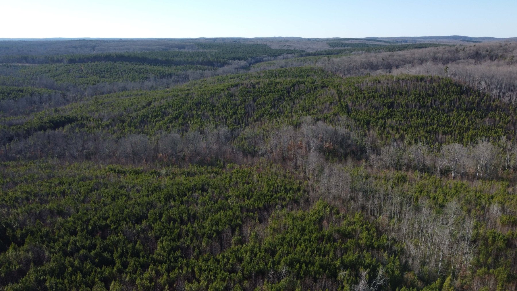 Image for 436 acres in Randolph County Divided into multiple tracts w/a portion selling absolute! This is an online / live / simulcast event!