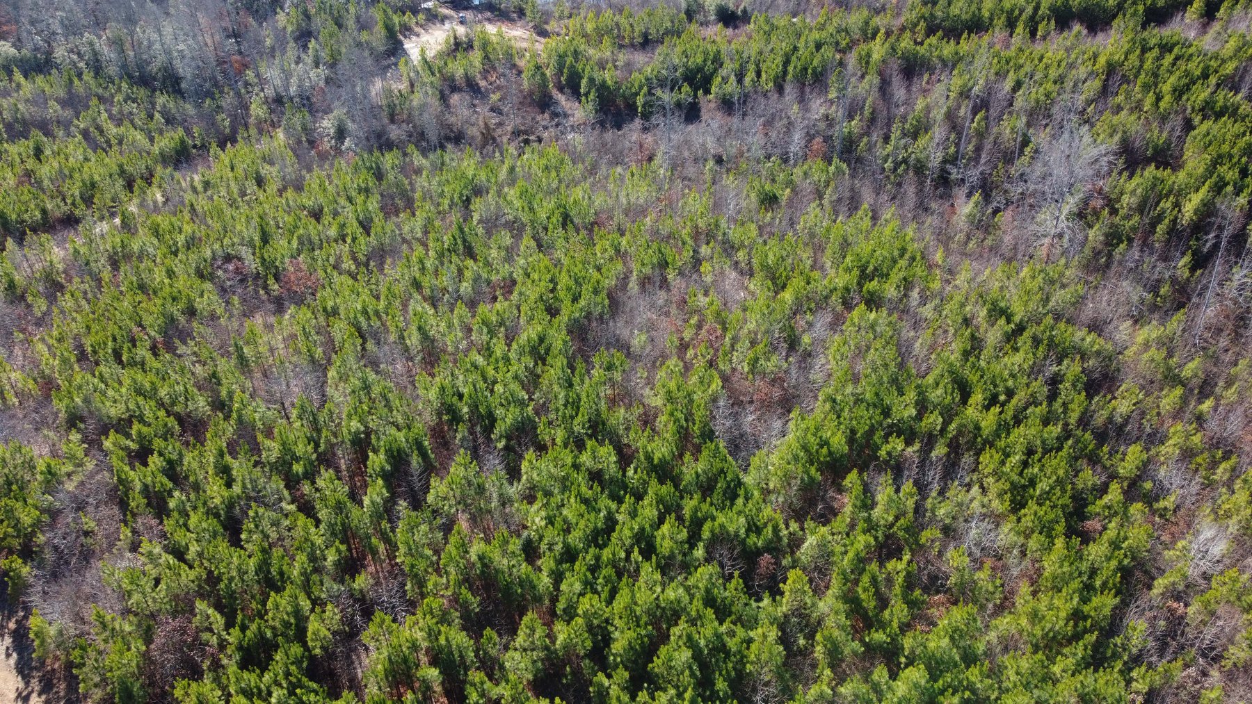 Image for 436 acres in Randolph County Divided into multiple tracts w/a portion selling absolute! This is an online / live / simulcast event!