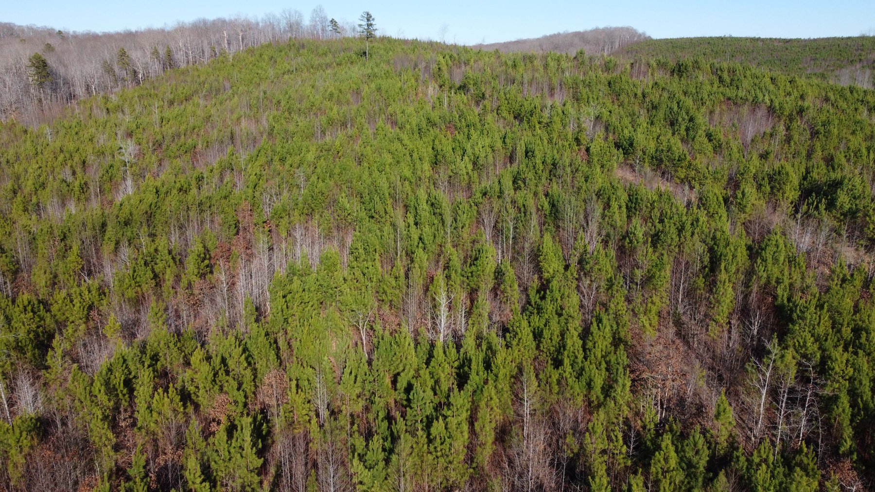 Image for 436 acres in Randolph County Divided into multiple tracts w/a portion selling absolute! This is an online / live / simulcast event!