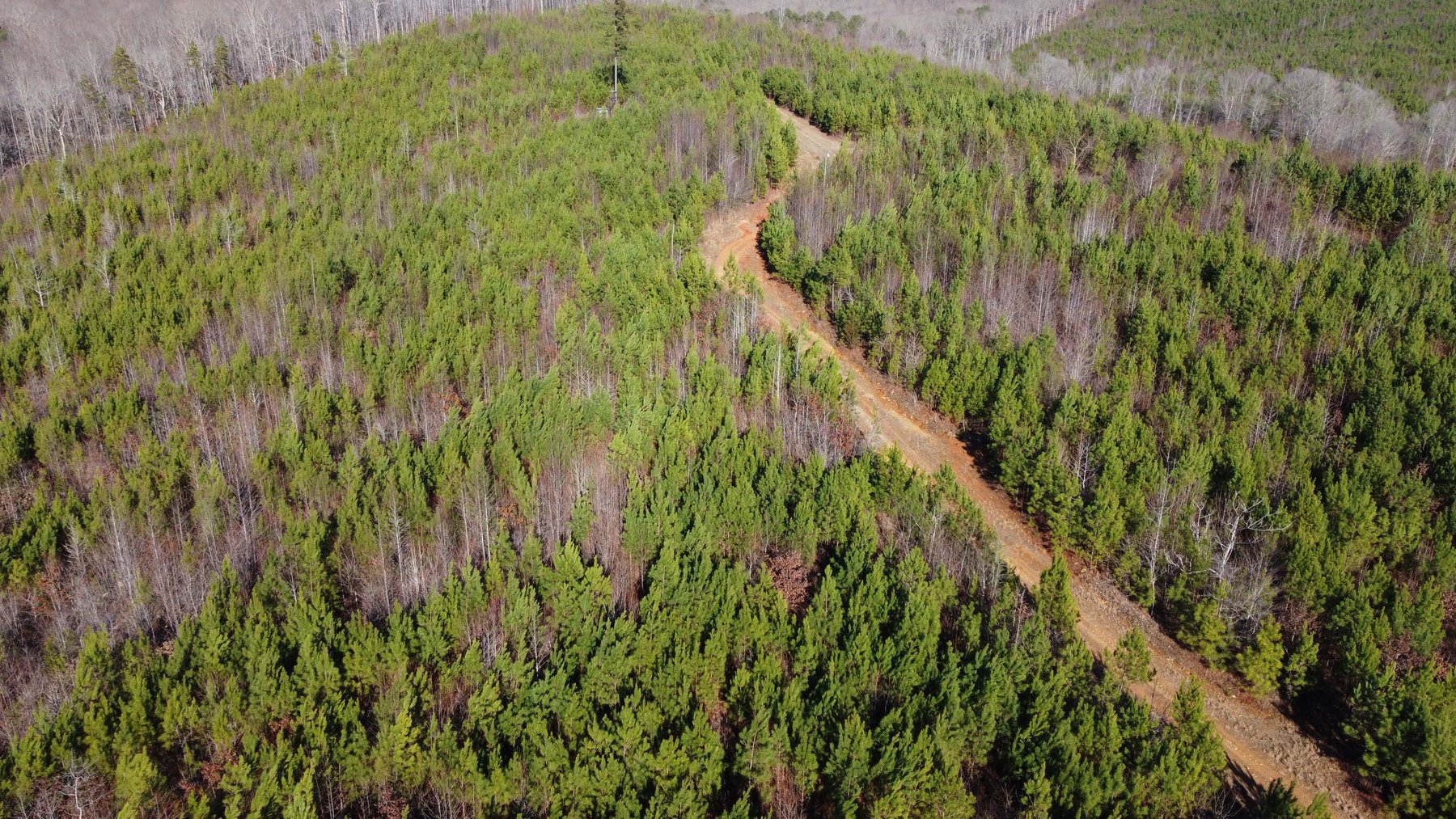 Image for 436 acres in Randolph County Divided into multiple tracts w/a portion selling absolute! This is an online / live / simulcast event!
