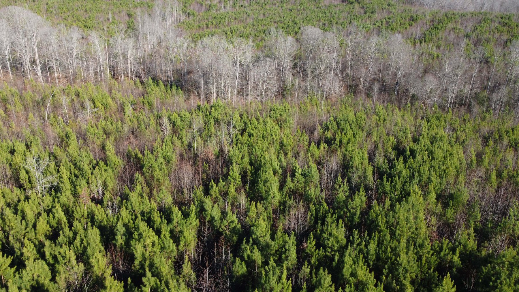 Image for 436 acres in Randolph County Divided into multiple tracts w/a portion selling absolute! This is an online / live / simulcast event!