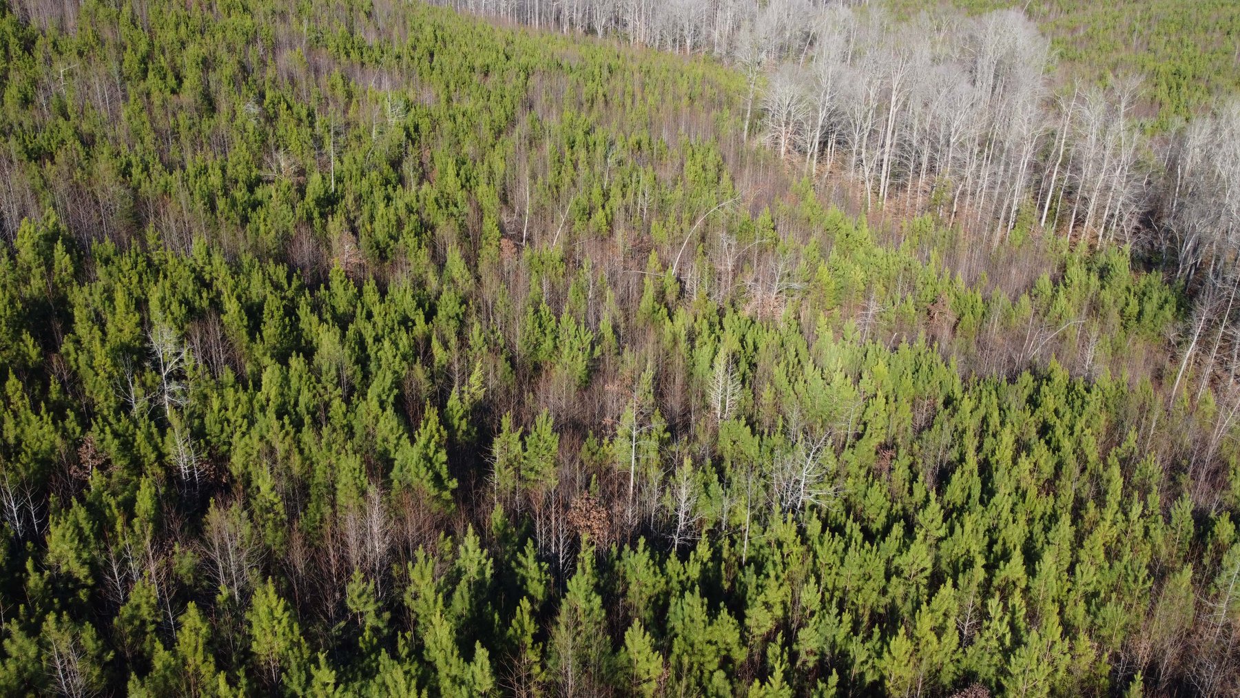 Image for 436 acres in Randolph County Divided into multiple tracts w/a portion selling absolute! This is an online / live / simulcast event!