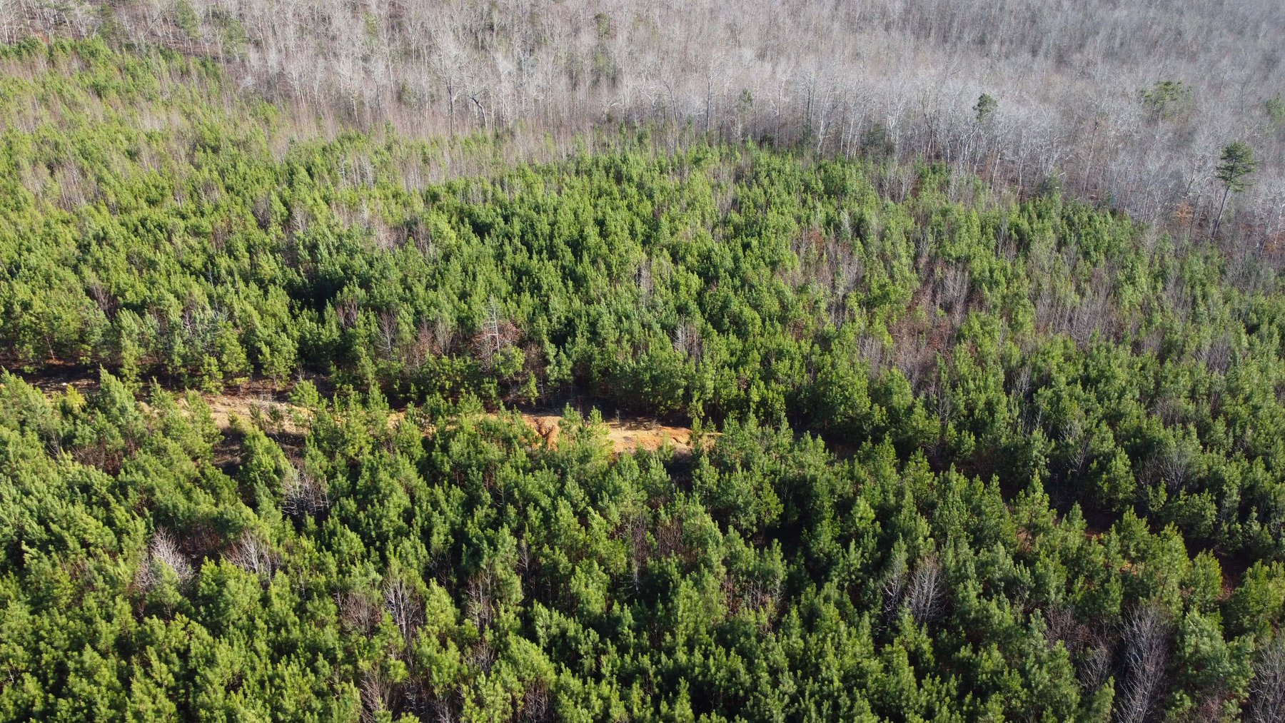 Image for 436 acres in Randolph County Divided into multiple tracts w/a portion selling absolute! This is an online / live / simulcast event!