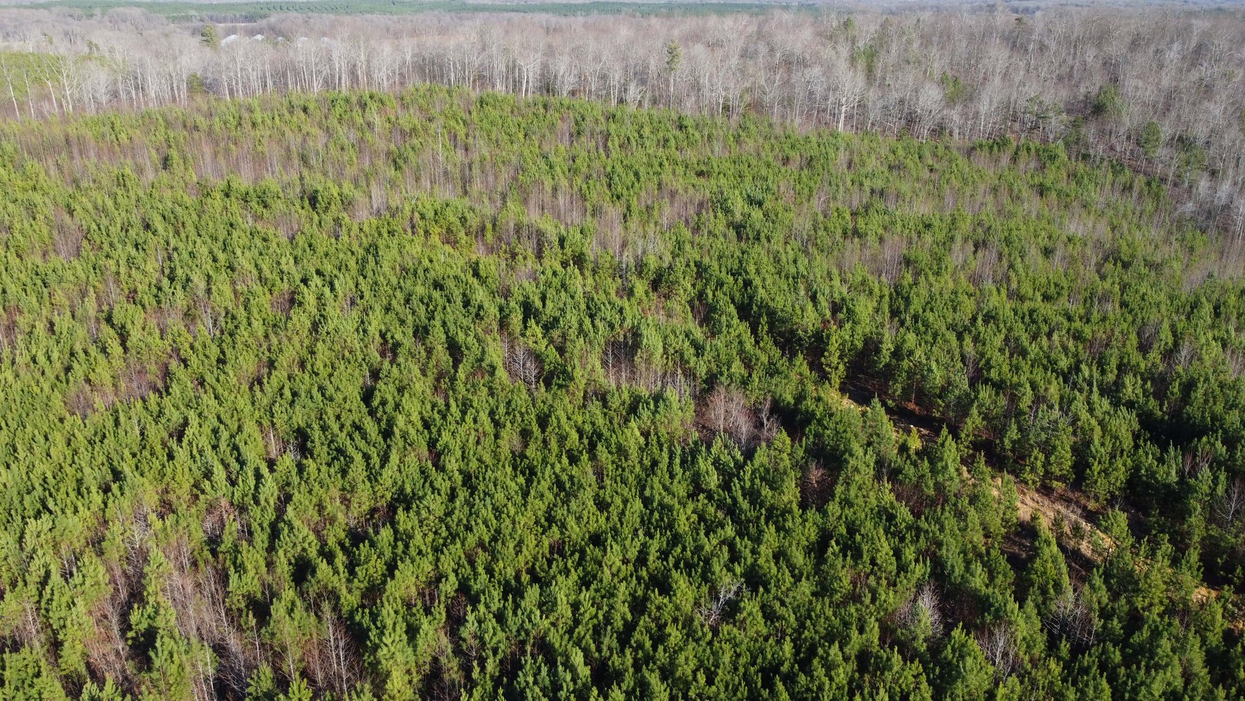 Image for 436 acres in Randolph County Divided into multiple tracts w/a portion selling absolute! This is an online / live / simulcast event!