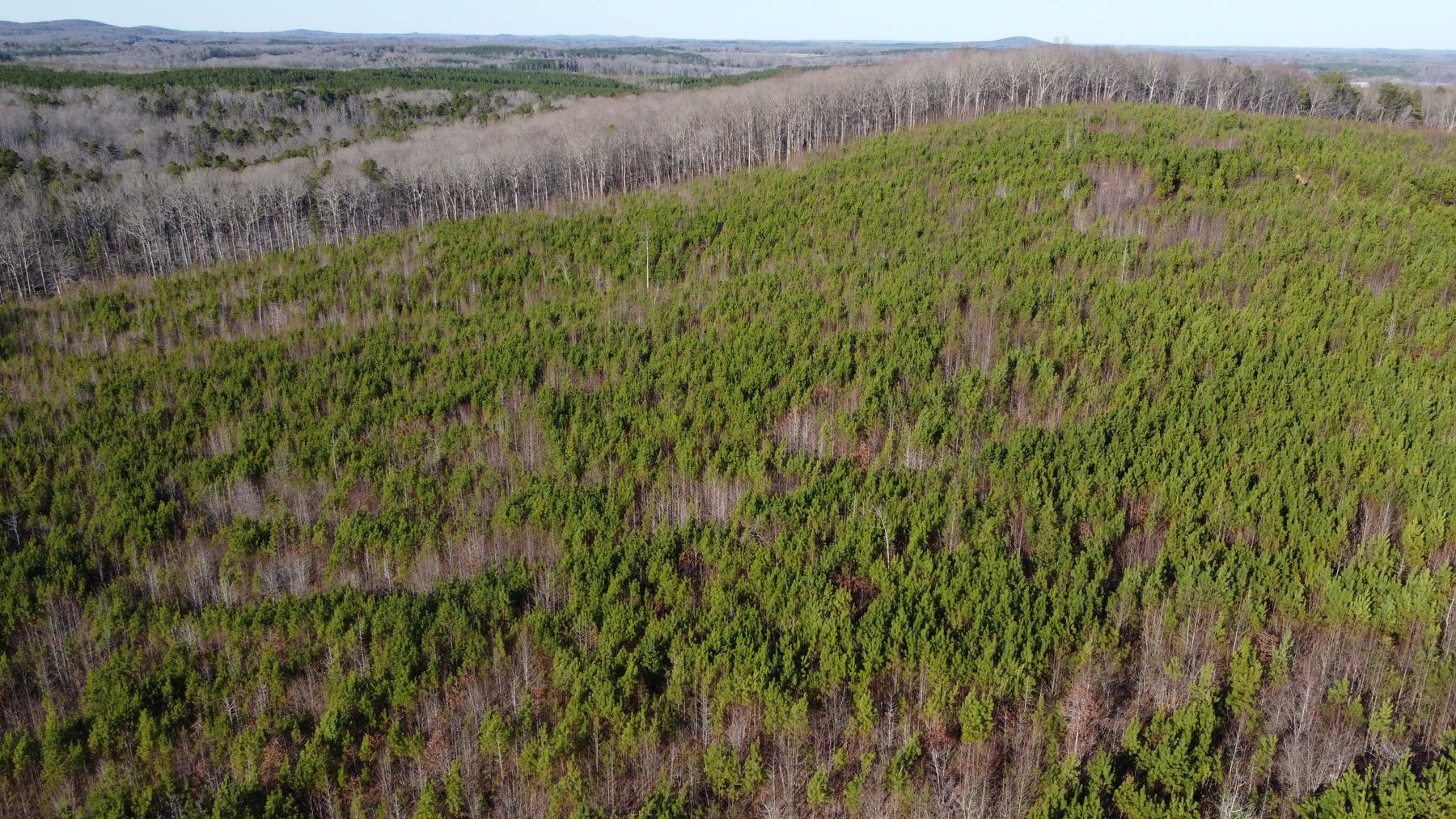 Image for 436 acres in Randolph County Divided into multiple tracts w/a portion selling absolute! This is an online / live / simulcast event!