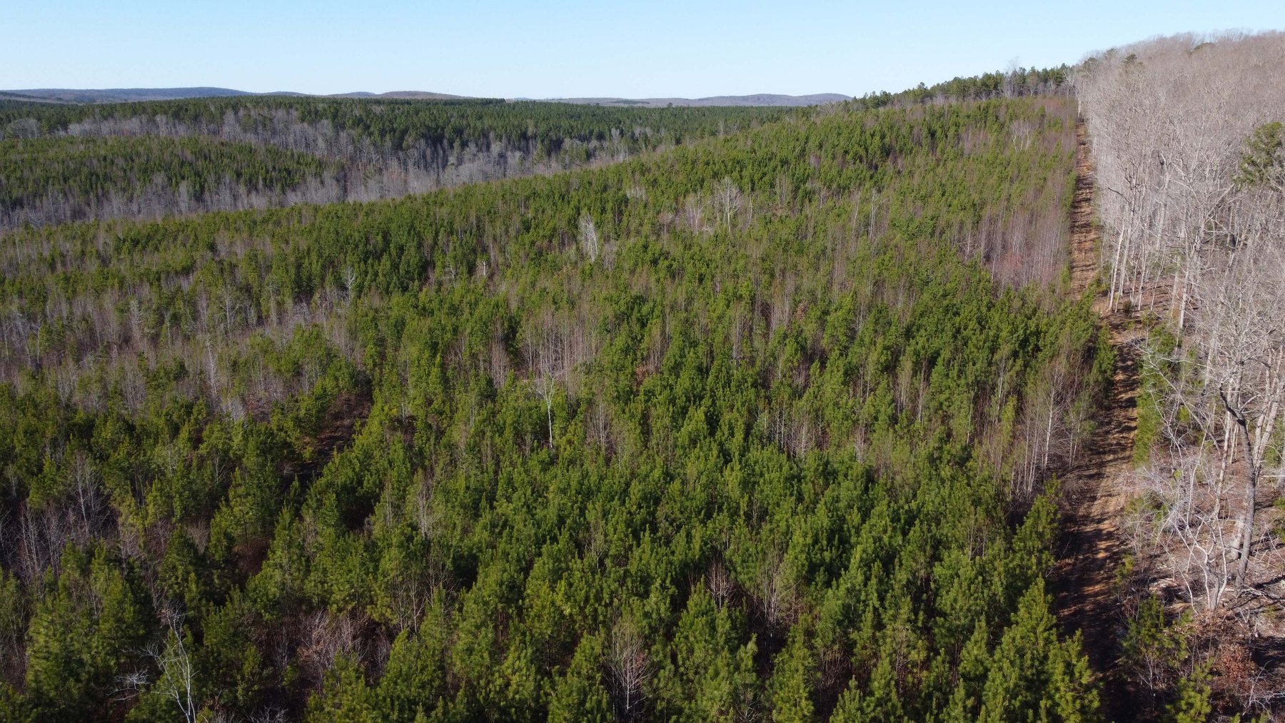 Image for 436 acres in Randolph County Divided into multiple tracts w/a portion selling absolute! This is an online / live / simulcast event!