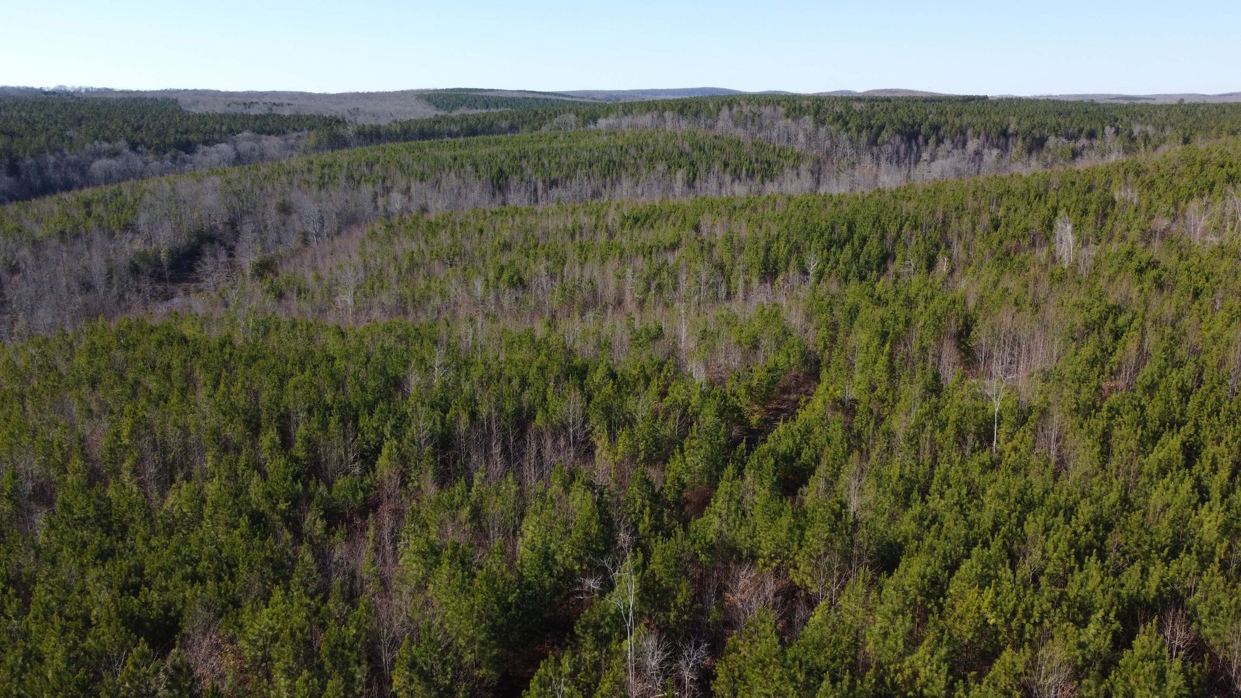 Image for 436 acres in Randolph County Divided into multiple tracts w/a portion selling absolute! This is an online / live / simulcast event!