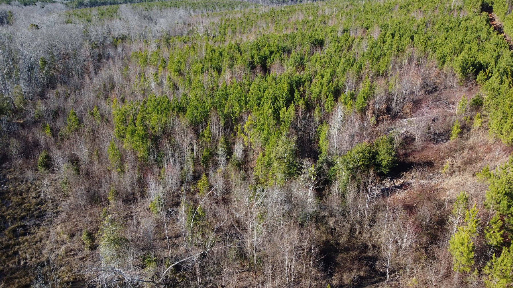 Image for 436 acres in Randolph County Divided into multiple tracts w/a portion selling absolute! This is an online / live / simulcast event!