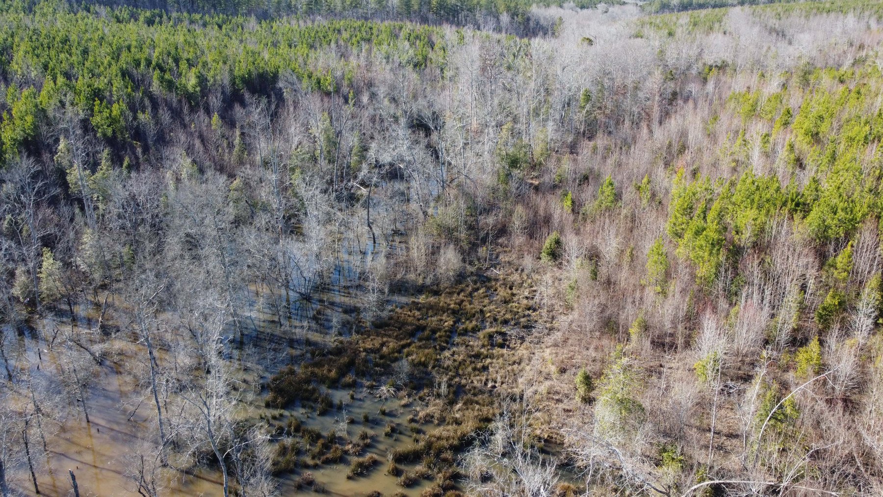 Image for 436 acres in Randolph County Divided into multiple tracts w/a portion selling absolute! This is an online / live / simulcast event!
