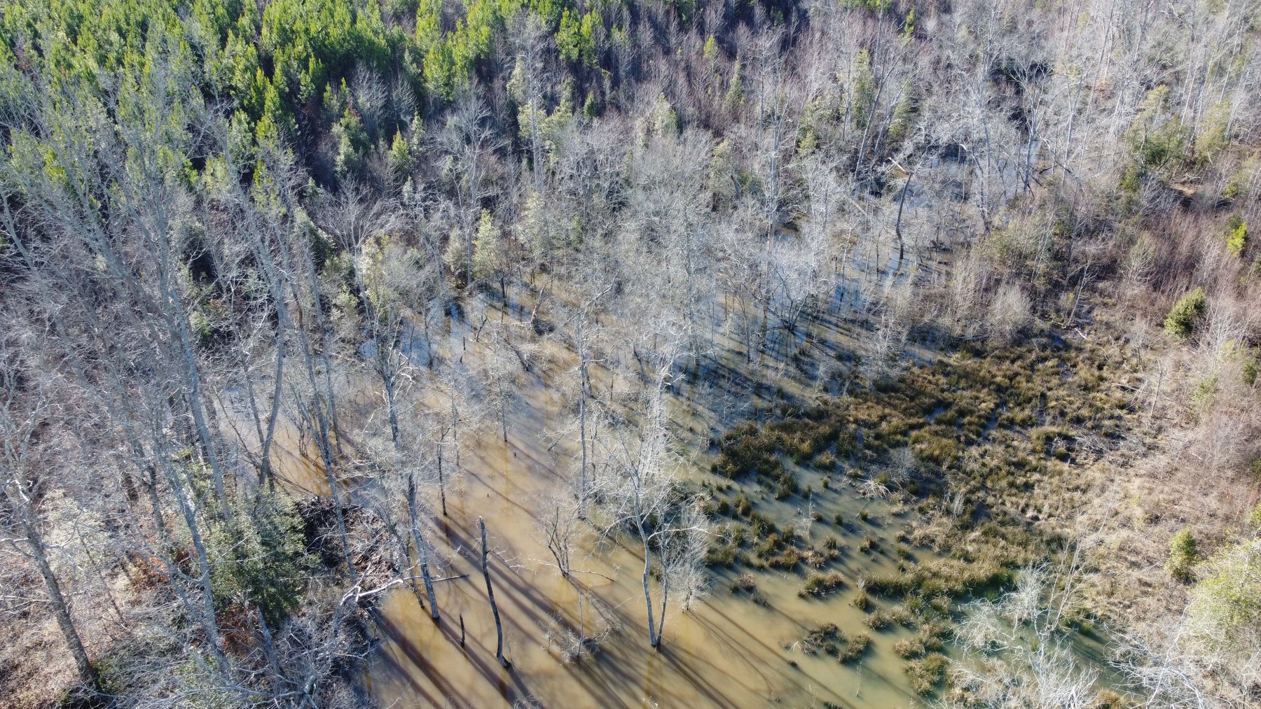 Image for 436 acres in Randolph County Divided into multiple tracts w/a portion selling absolute! This is an online / live / simulcast event!