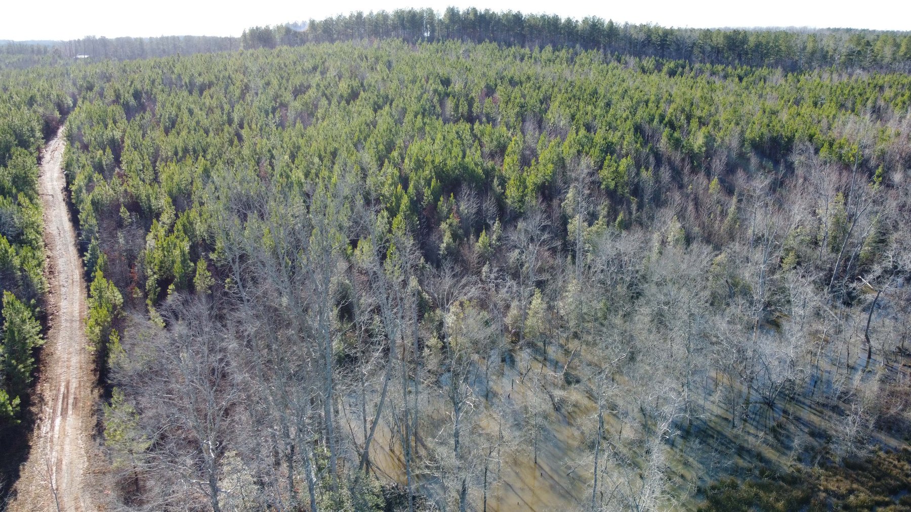Image for 436 acres in Randolph County Divided into multiple tracts w/a portion selling absolute! This is an online / live / simulcast event!