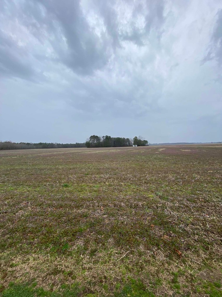 Image for The John J. Madura Estate (deceased) Cumberland County  Real Estate Auction!  65 + acres divided and a Home!