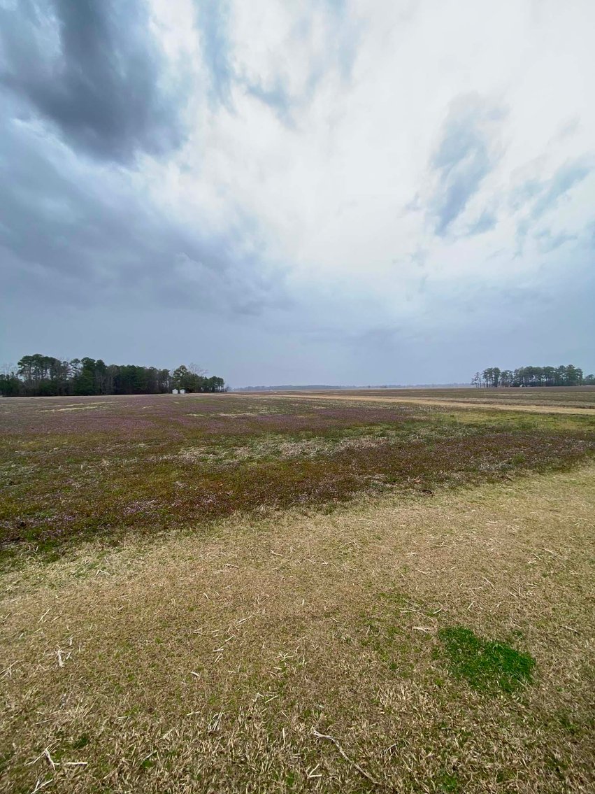 Image for The John J. Madura Estate (deceased) Cumberland County  Real Estate Auction!  65 + acres divided and a Home!