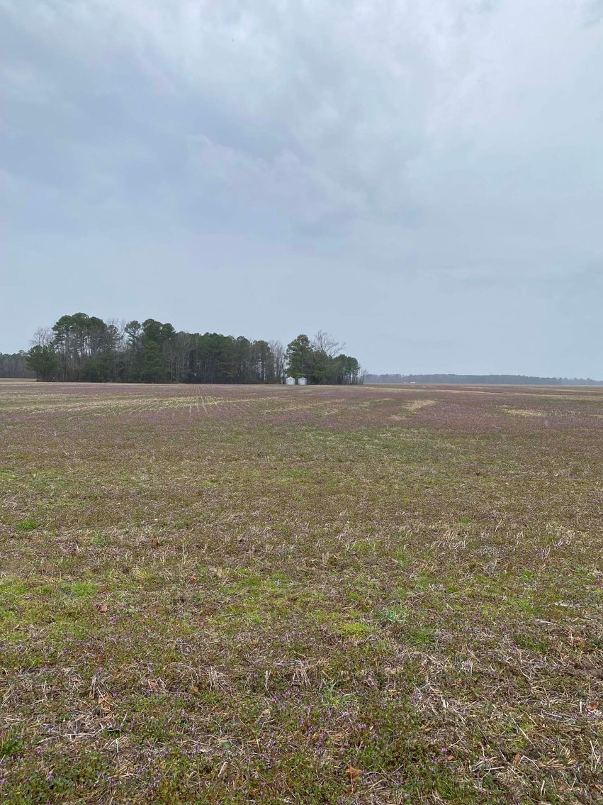 Image for The John J. Madura Estate (deceased) Cumberland County  Real Estate Auction!  65 + acres divided and a Home!