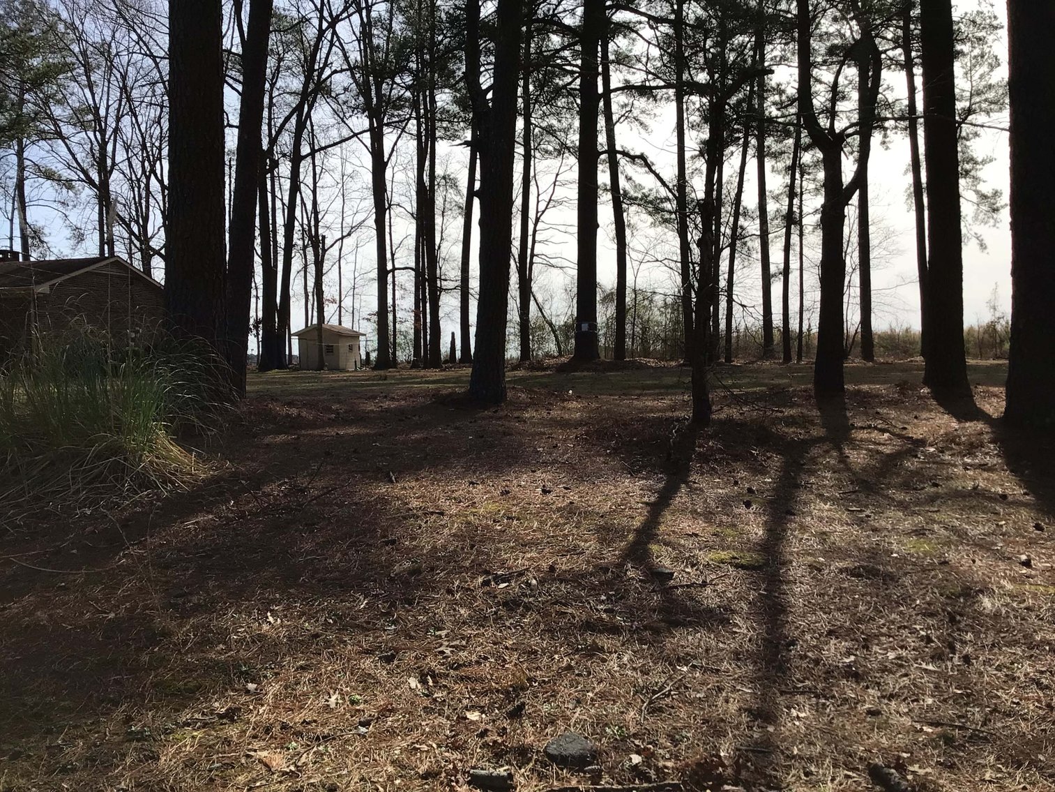 Image for Vacant Lot in Wilson