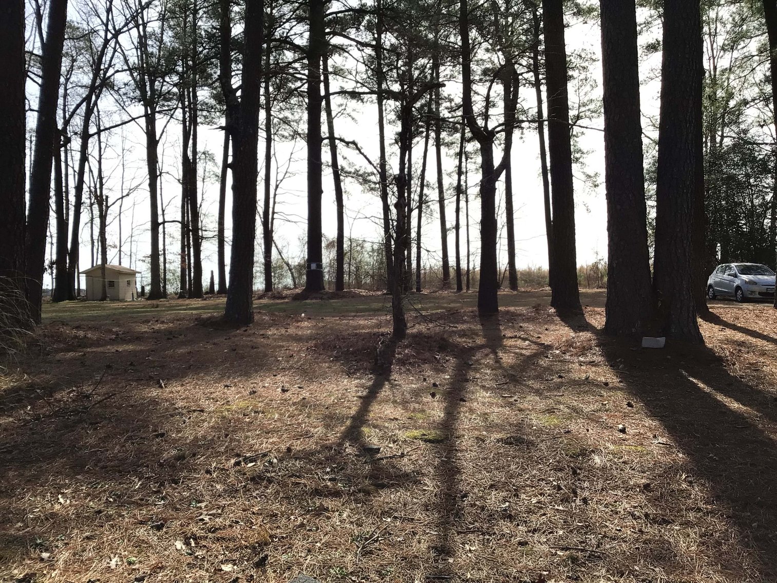 Image for Vacant Lot in Wilson