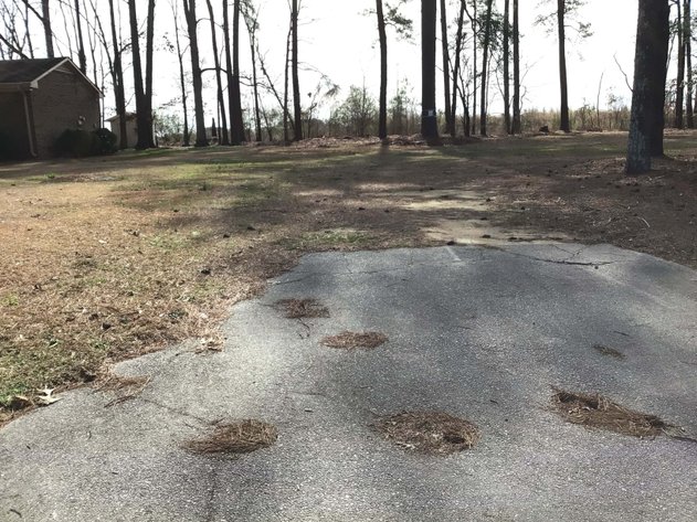 Image for Vacant Lot in Wilson