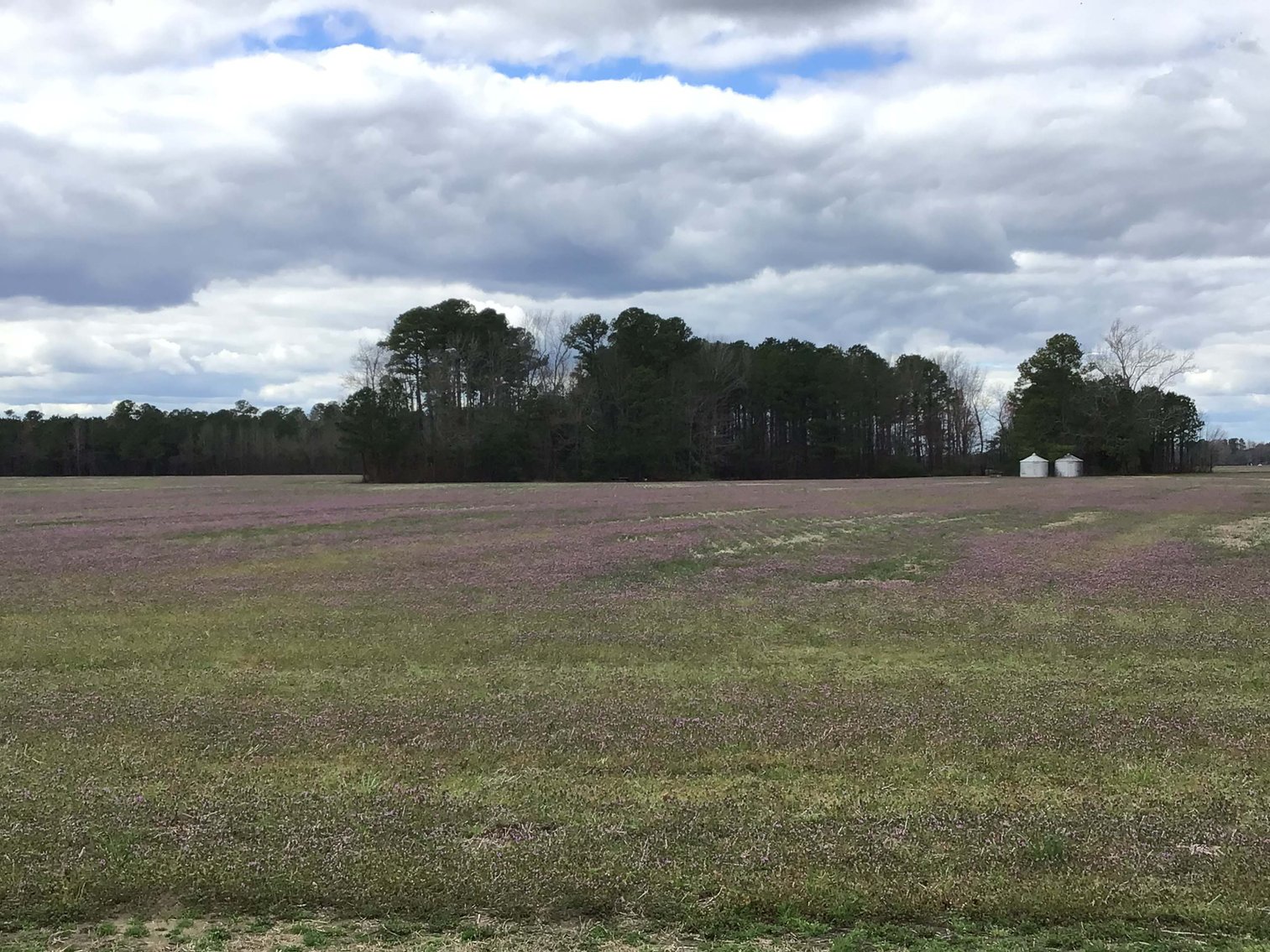 Image for The John J. Madura Estate (deceased) Cumberland County  Real Estate Auction!  65 + acres divided and a Home!