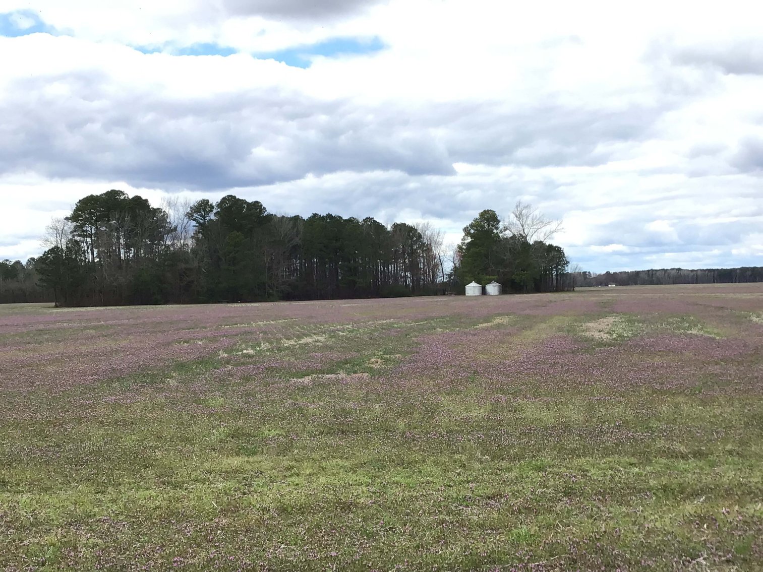 Image for The John J. Madura Estate (deceased) Cumberland County  Real Estate Auction!  65 + acres divided and a Home!