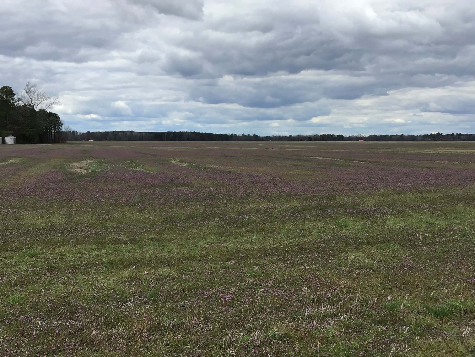 Image for The John J. Madura Estate (deceased) Cumberland County  Real Estate Auction!  65 + acres divided and a Home!