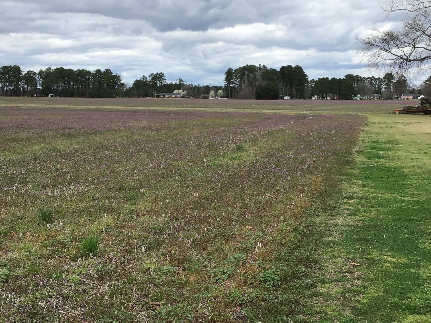 Image for The John J. Madura Estate (deceased) Cumberland County  Real Estate Auction!  65 + acres divided and a Home!