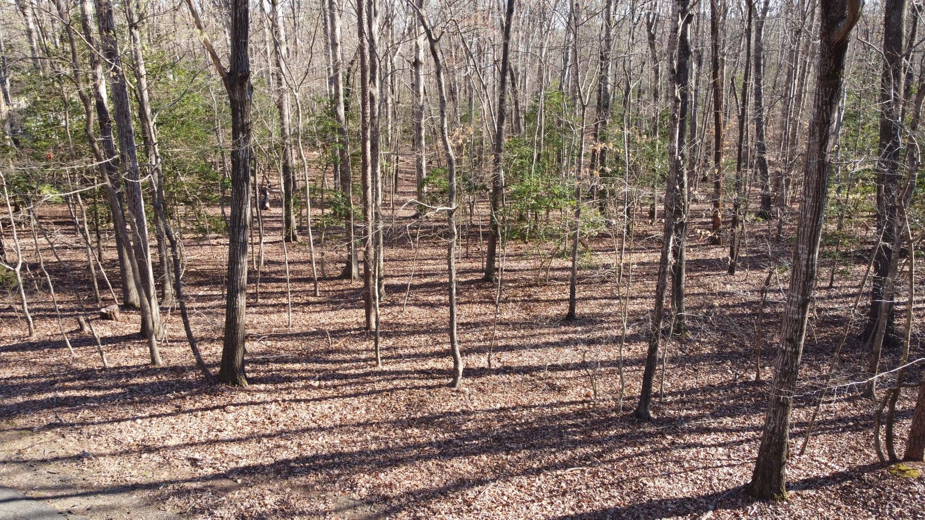 Image for Lake House and Two Lots on Kerr Lake in Clarksville, VA!