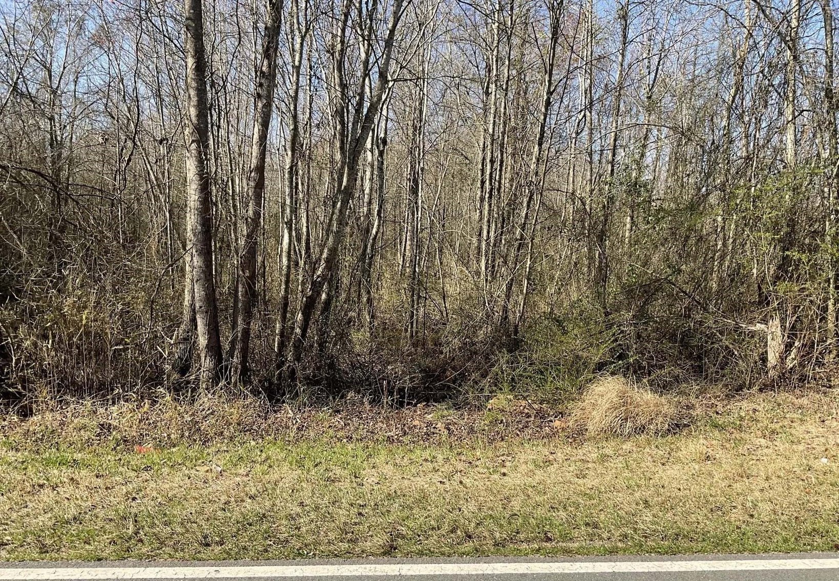 Image for 75 plus acres in Sampson County!