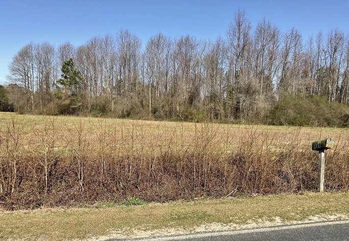 Image for 75 plus acres in Sampson County!