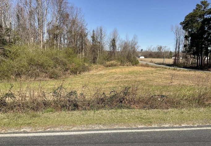 Image for 75 plus acres in Sampson County!