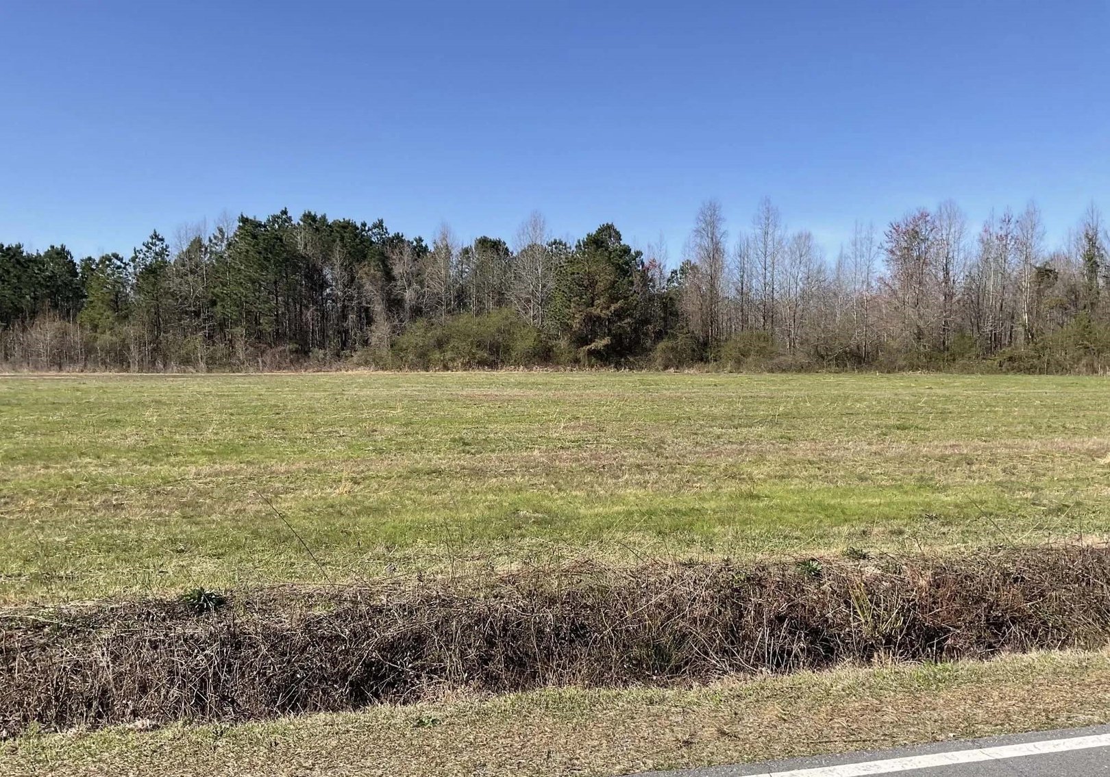 Image for 75 plus acres in Sampson County!