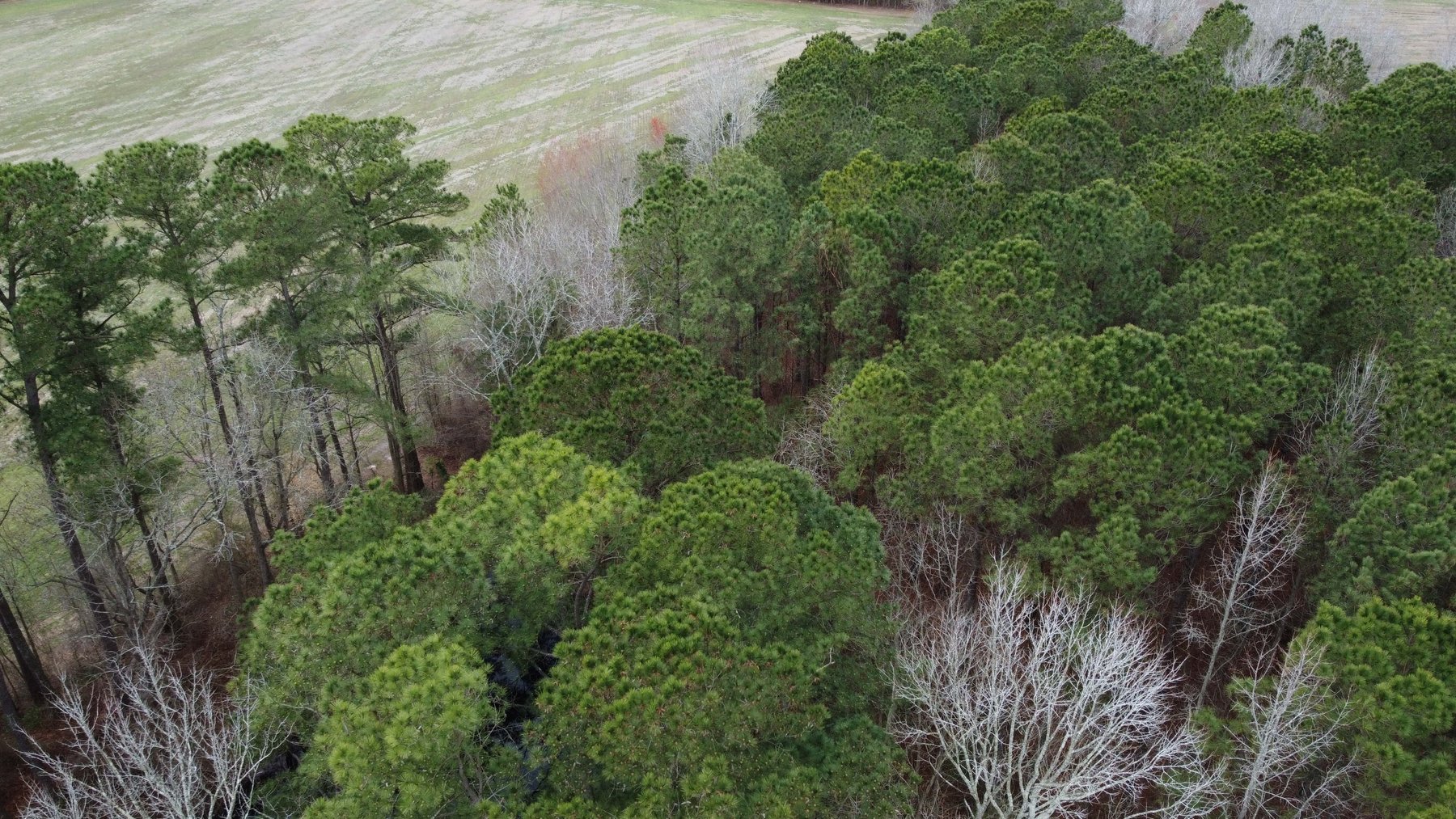 Image for The John J. Madura Estate (deceased) Cumberland County  Real Estate Auction!  65 + acres divided and a Home!