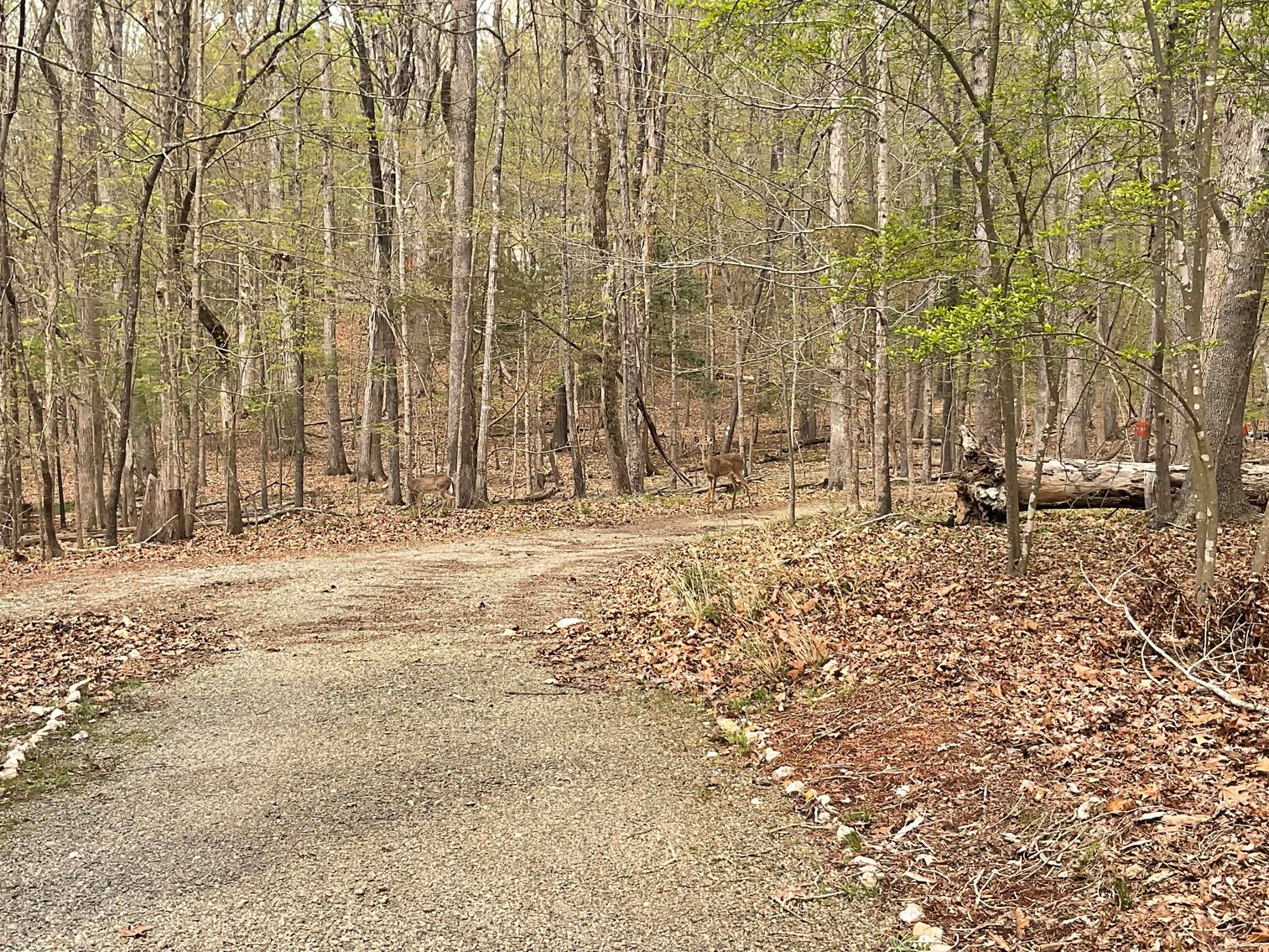 Image for Personal Property on Kerr Lake in Clarksville, VA