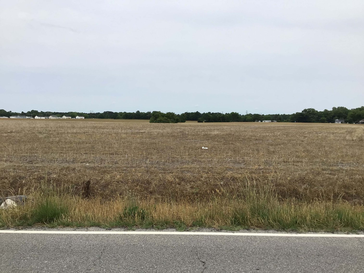 Image for Multiple Tracts offered throughout Harnett County at Absolute Auction!