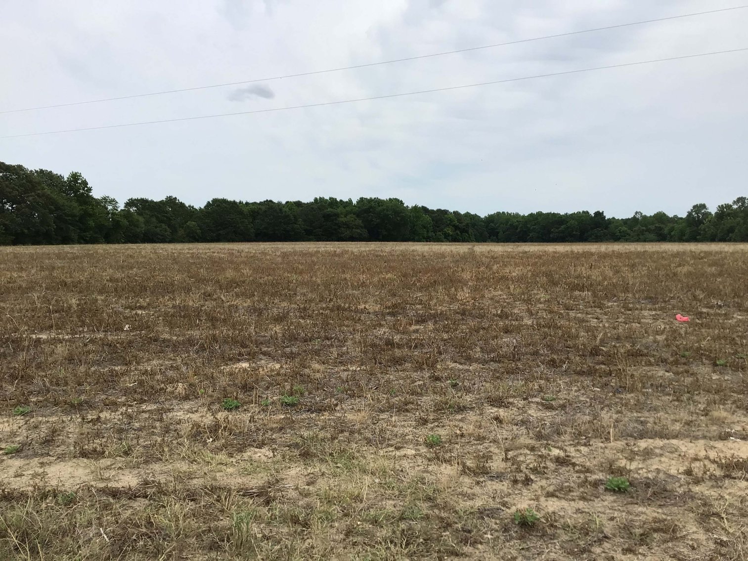 Image for Multiple Tracts offered throughout Harnett County at Absolute Auction!