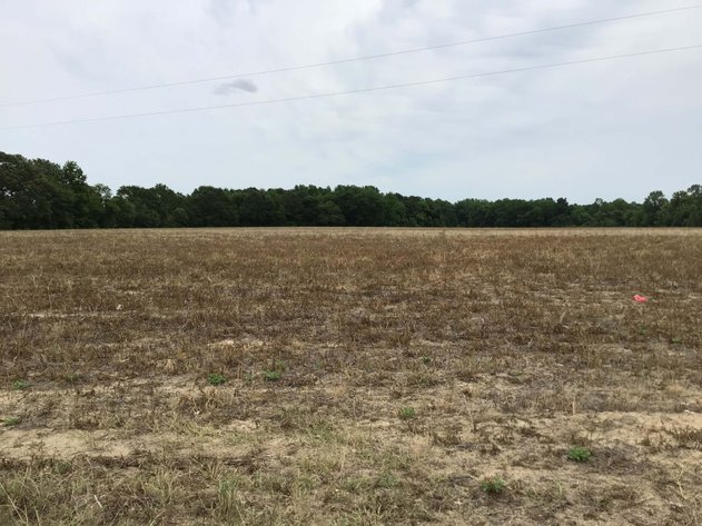 Image for Multiple Tracts offered throughout Harnett County at Absolute Auction!