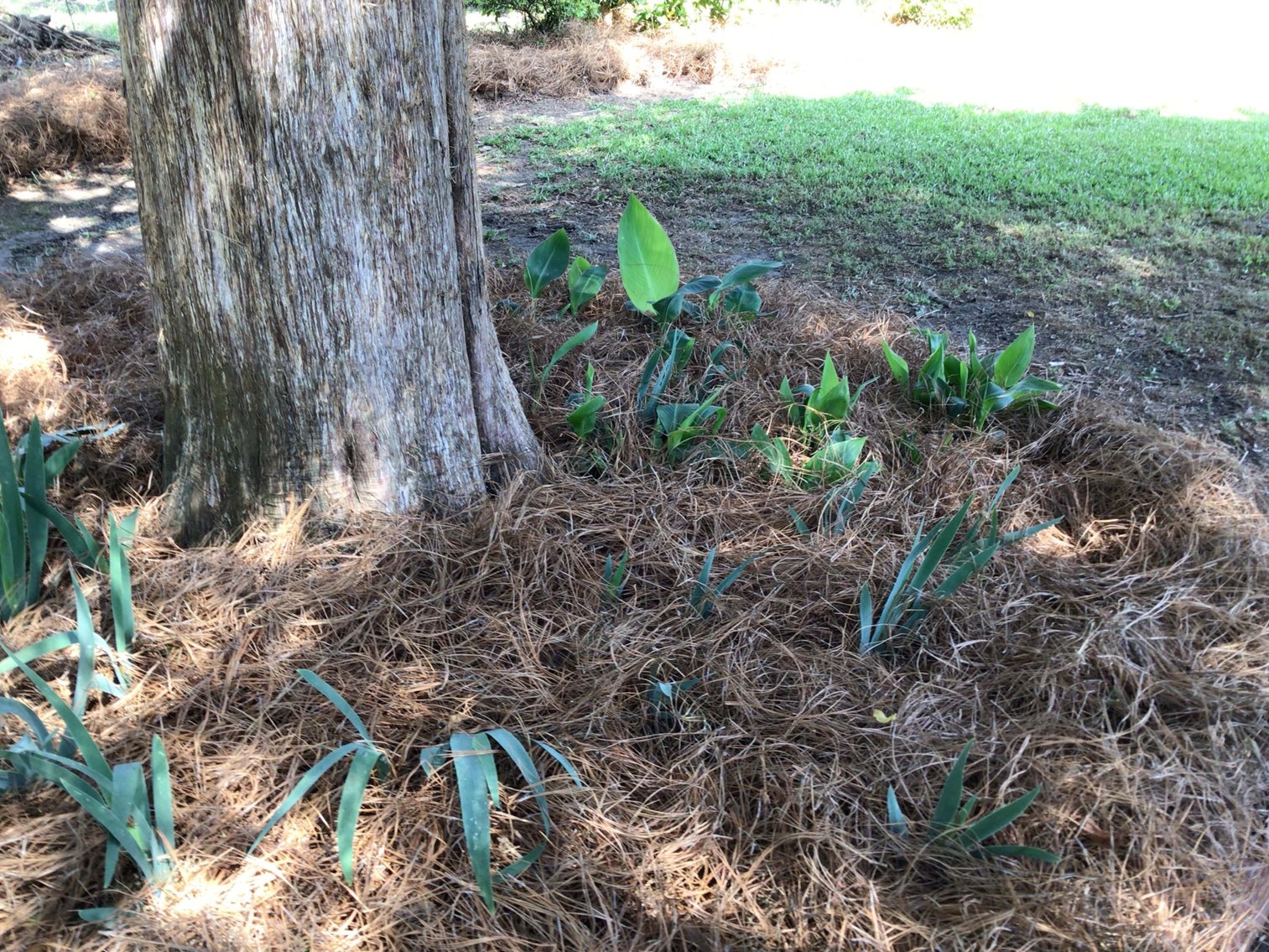 Image for Cottage Style Home in Erwin!