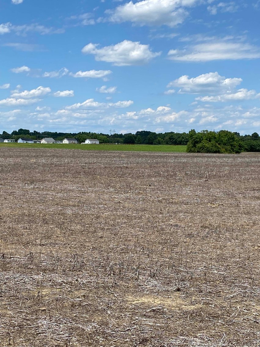 Image for Multiple Tracts offered throughout Harnett County at Absolute Auction!