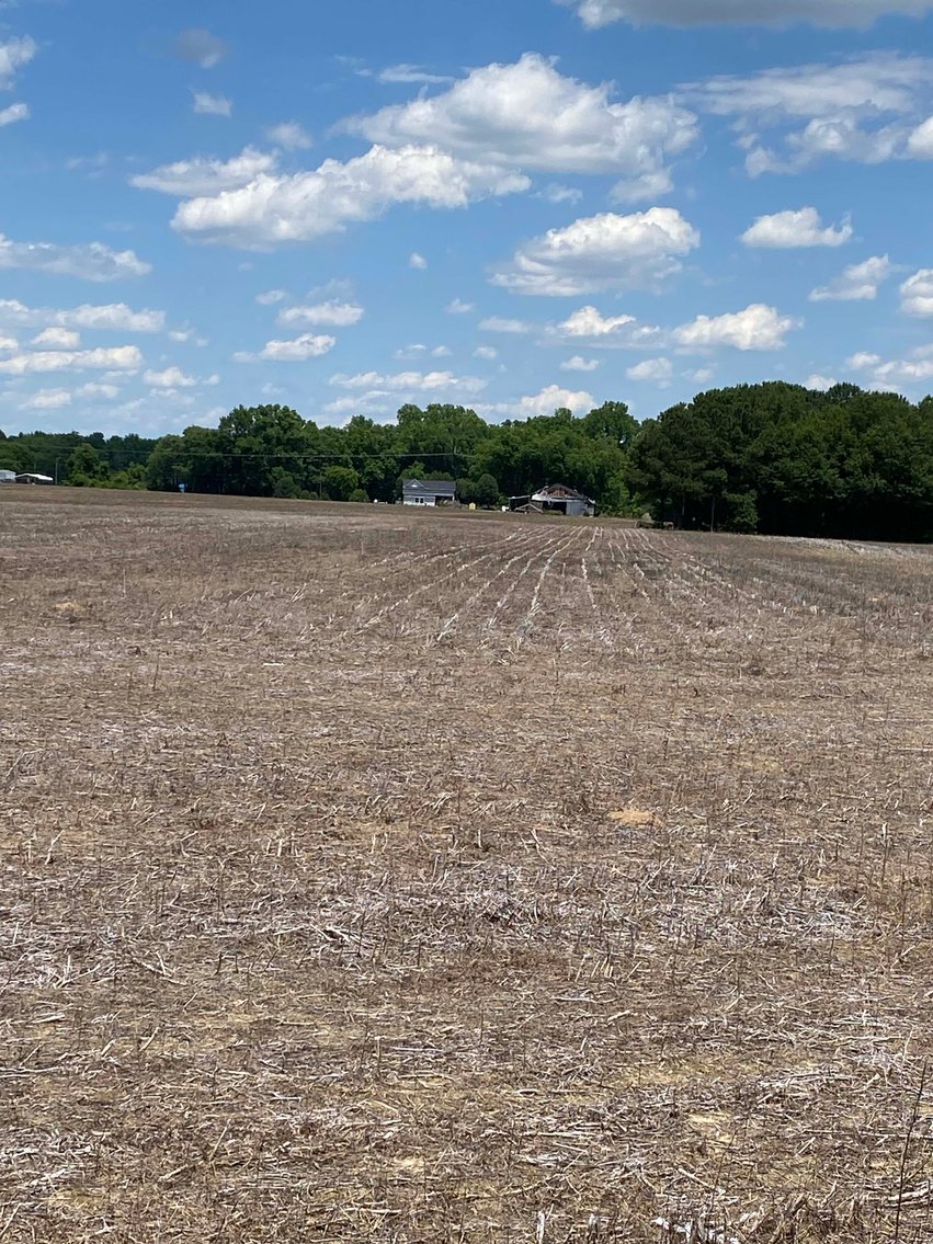 Image for Multiple Tracts offered throughout Harnett County at Absolute Auction!