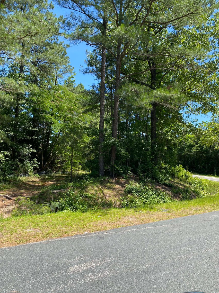 Image for 68+ Acres divided into 8 tracts being sold at Absolute Auction in Southern Harnett County!