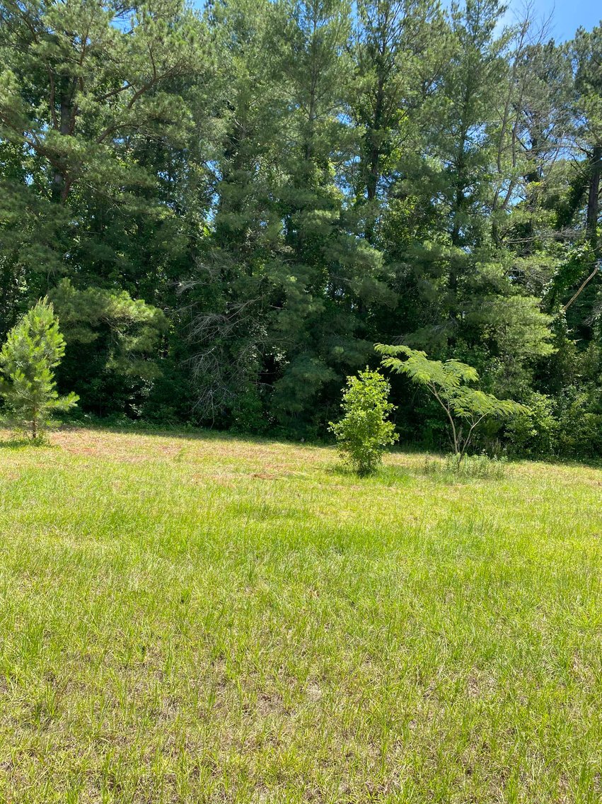 Image for 68+ Acres divided into 8 tracts being sold at Absolute Auction in Southern Harnett County!