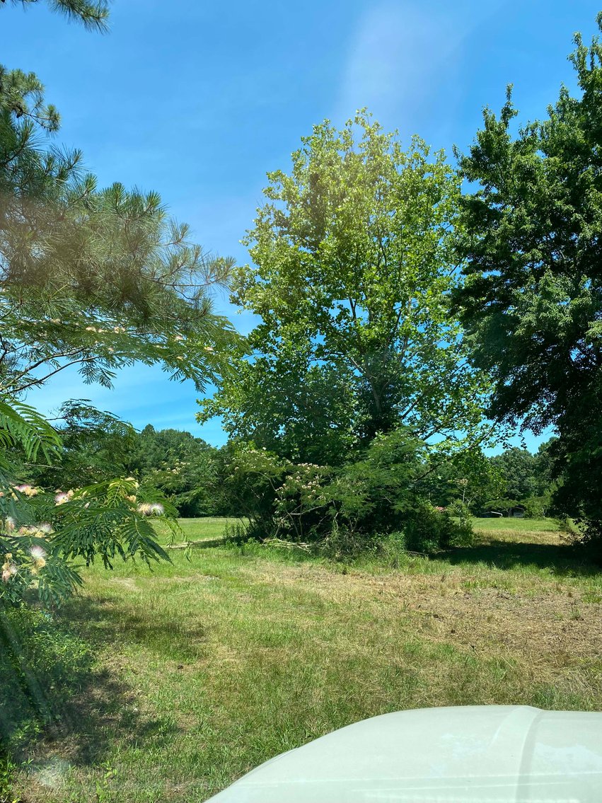 Image for 68+ Acres divided into 8 tracts being sold at Absolute Auction in Southern Harnett County!