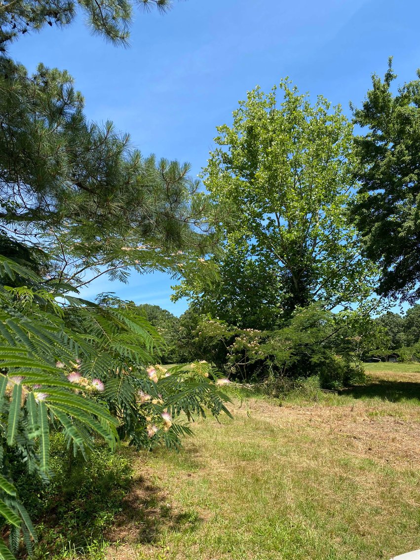 Image for 68+ Acres divided into 8 tracts being sold at Absolute Auction in Southern Harnett County!