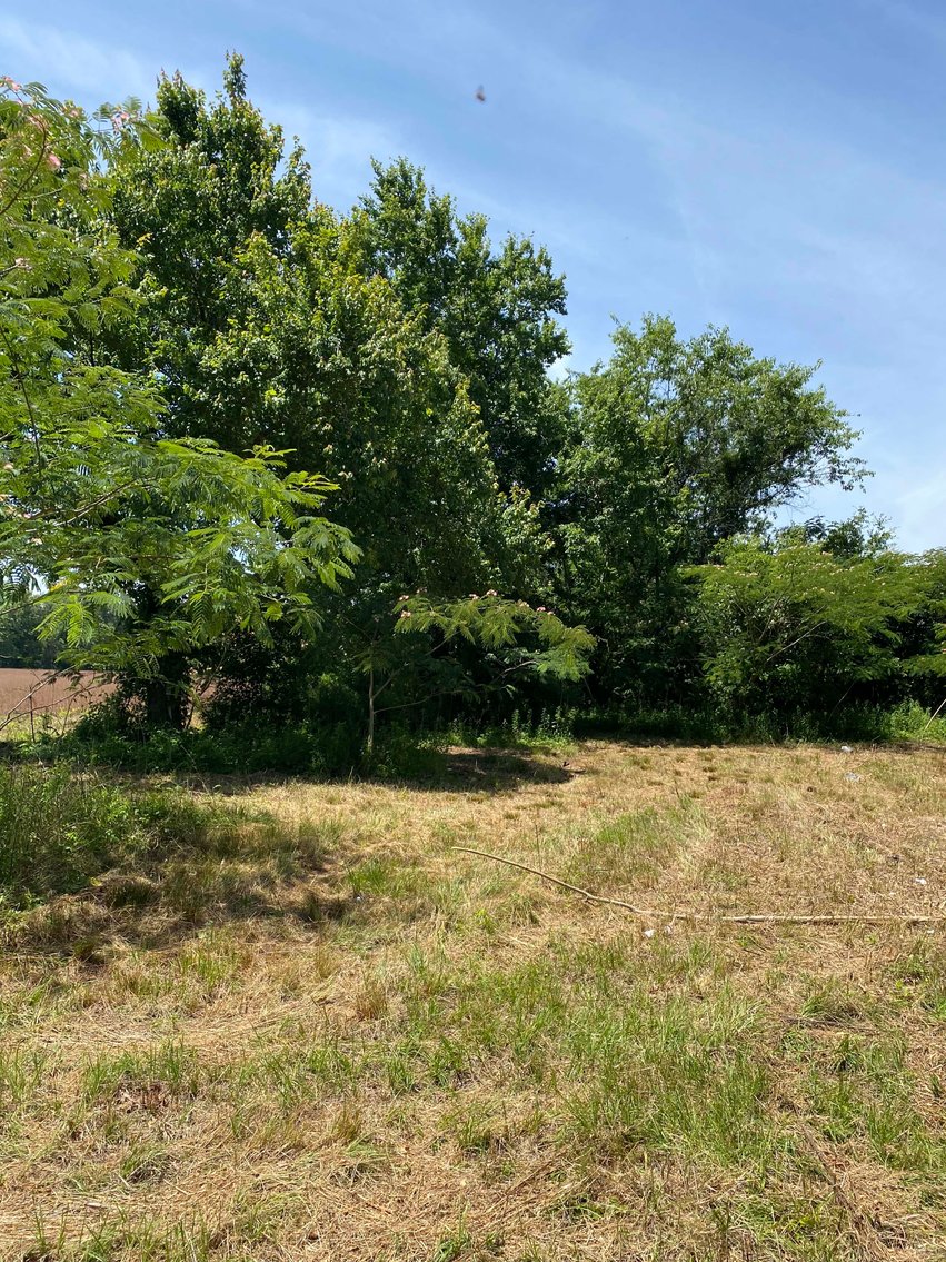 Image for 68+ Acres divided into 8 tracts being sold at Absolute Auction in Southern Harnett County!