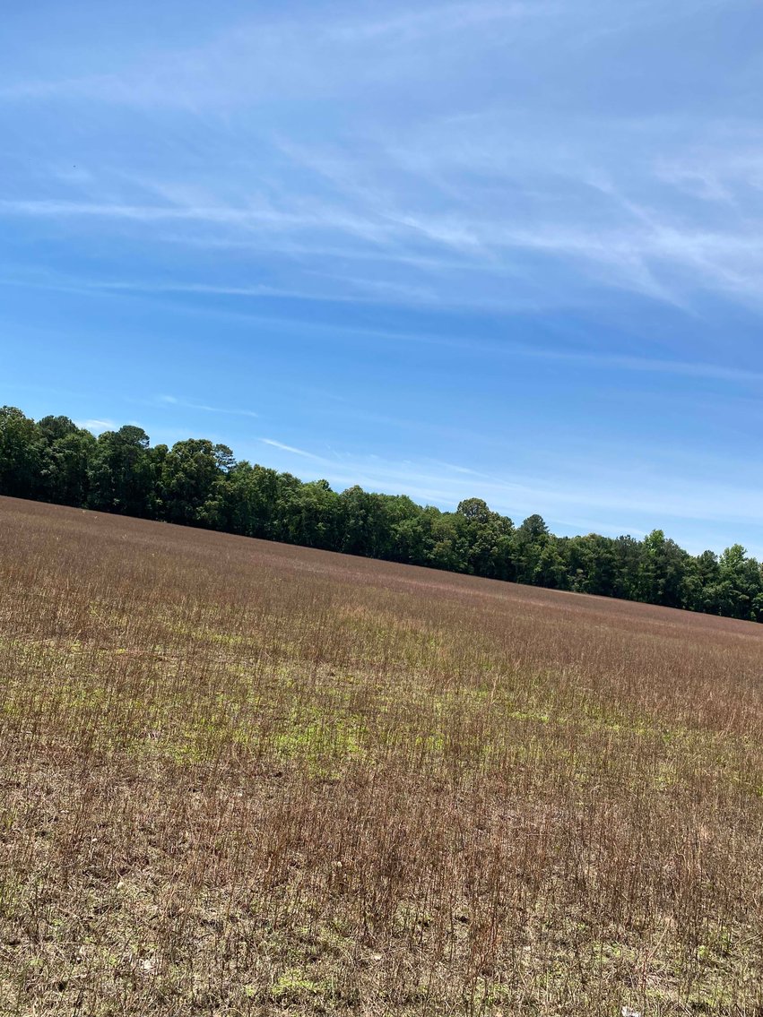 Image for 68+ Acres divided into 8 tracts being sold at Absolute Auction in Southern Harnett County!