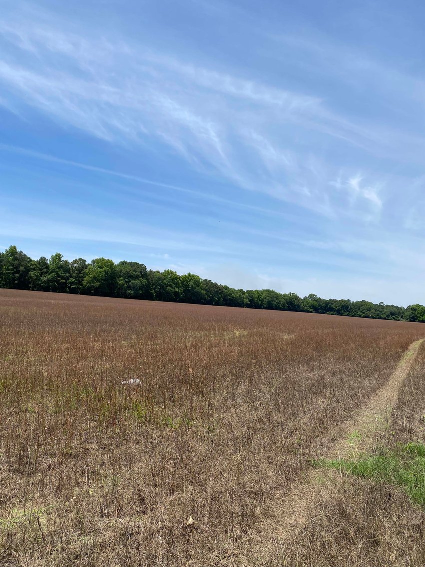 Image for 68+ Acres divided into 8 tracts being sold at Absolute Auction in Southern Harnett County!